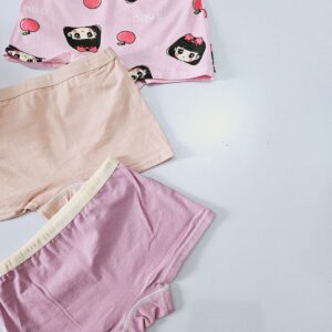 KIT DE 3 CUECAS INFANTIL ESTAMPADA