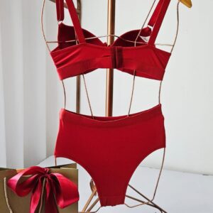 LINGERIE COM BOJO LISO